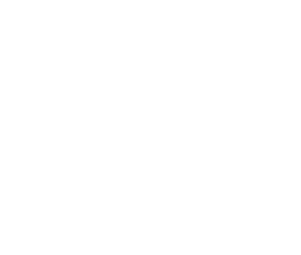 PMP Firenze